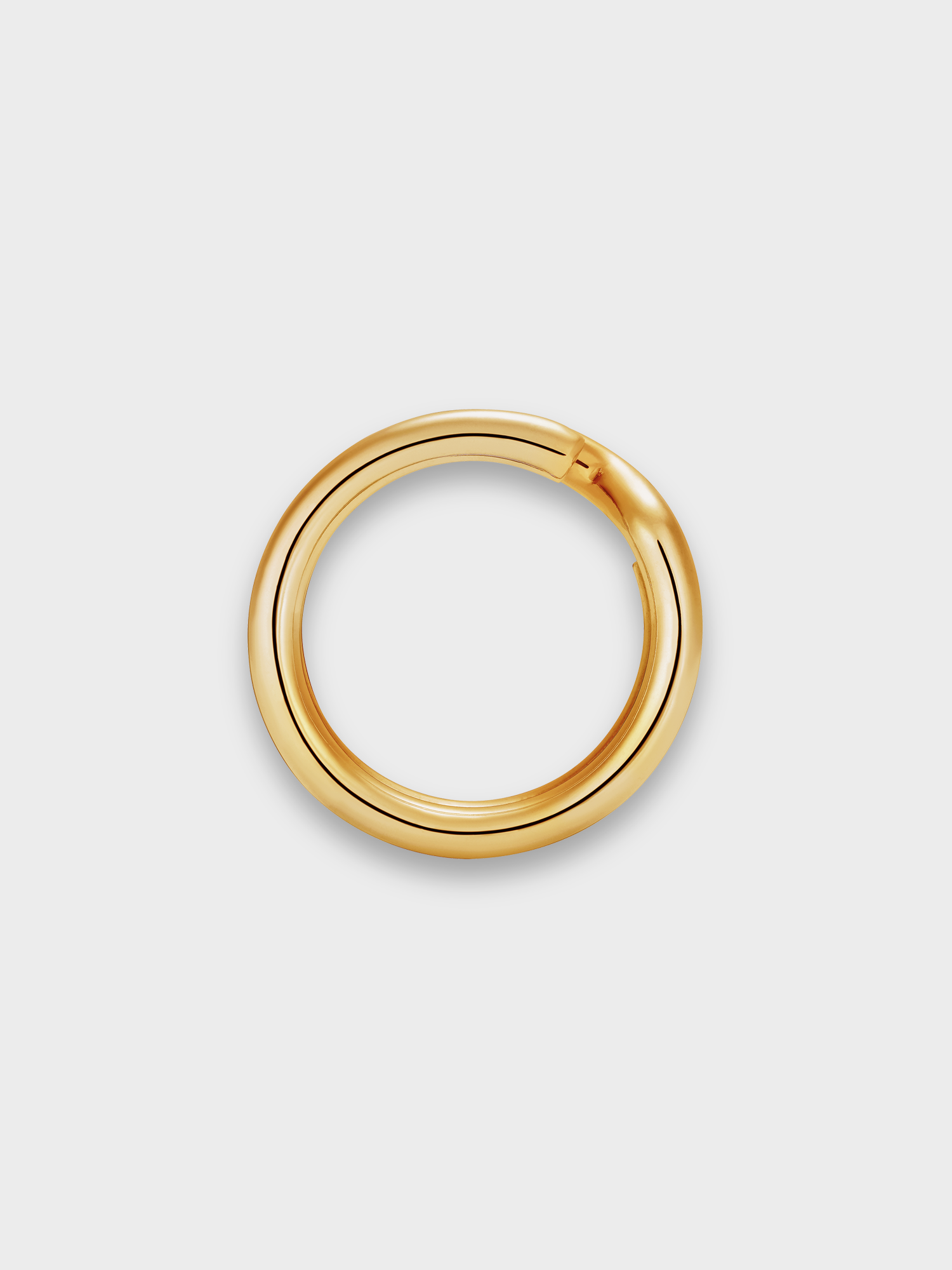 Gold Keyring ring on light grey background